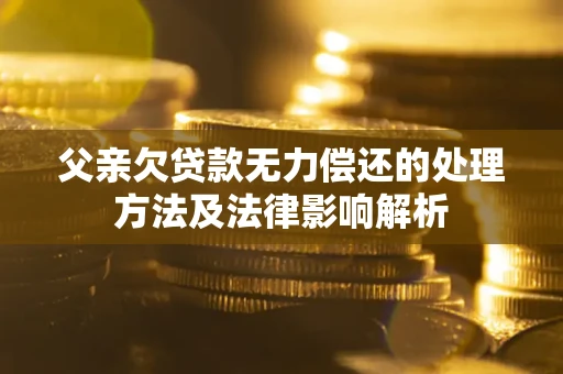 北京父亲欠贷款无力偿还的处理方法及法律影响解析