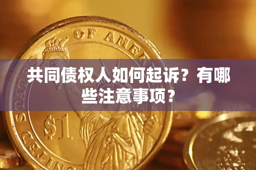北京共同债权人如何起诉？有哪些注意事项？